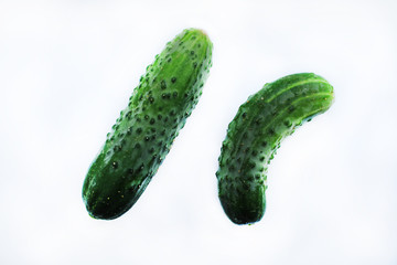  2 cucumbers on a white background. Isolated objects without shadows.