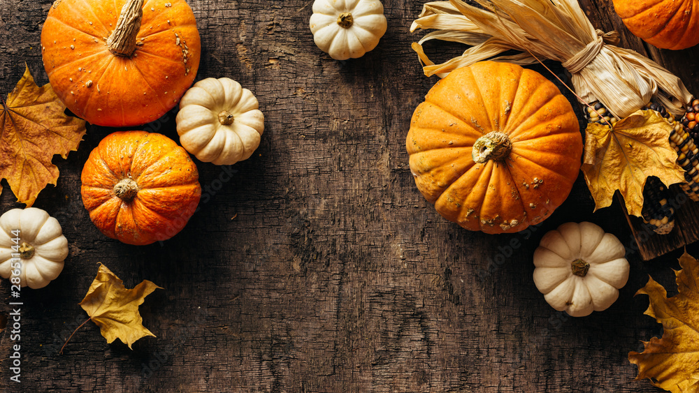 Wall mural pumpkins and corn and autumn leaves on old shabby background. autumn background with copy space.