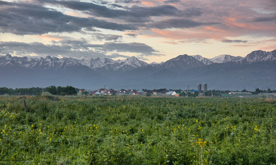 panoramic view of landscape