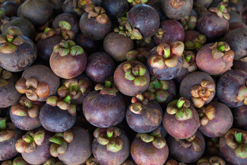 Mangosteen in Phuket, Thailand.