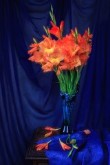 Still life with  bouquet of  orange gladiolus flowers