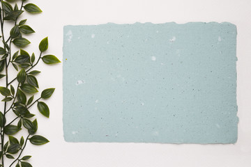 An artificial green plant near the blank blue texture paper on white background