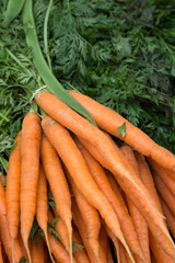 Orange Carrot Vegetable Background