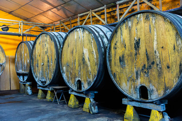 Wooden barrels in rows at contemporary cider actory. Asturias. Spain