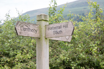 Llanthony Walking Direction Sign