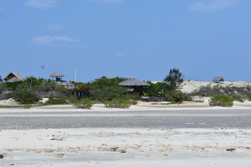 camocim