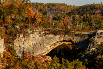 Natural Arch + Fall / Autumn Color Trees - Daniel Boone National Forest - Kentucky
