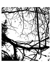 Grunge overlay texture. Dirty branches vector  background.