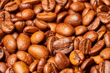 Coffee beans isolated close up