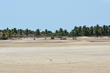 camocim