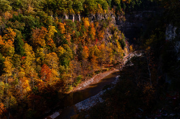 Deep Canyon Surrounded by Peak Autumn / Fall Season - Ithaca, New York