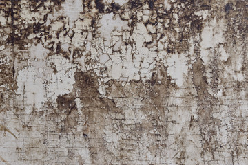 Wooden wall with white paint is highly eroded and soiled.