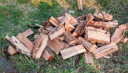 Chopped firewood on green grass close-up