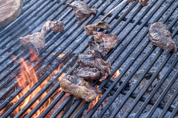 Cooking grilled meat pieces outdoors