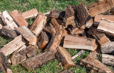 Chopped firewood on green grass close-up