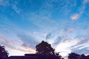 Evening Cloudscape of sunrise sky with big tree