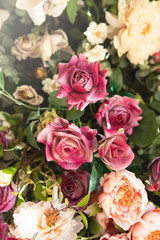 Obraz na płótnie Canvas rose flower love anniversary valentine background greeting card natural
