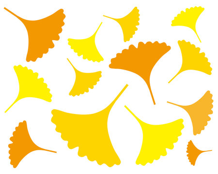 22 756 Best 銀杏 Images Stock Photos Vectors Adobe Stock