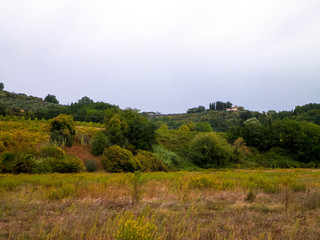 Tuscan field on a cloudy day