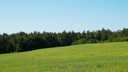 Green field in Kashubian village.