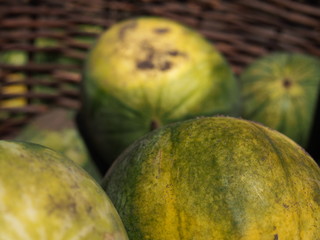 pumpkin on black background