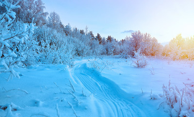 Beautiful Christmas landscape