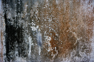 texture of old ,old cement wall
