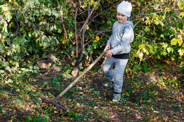 six-year-old boy works rake in the garden