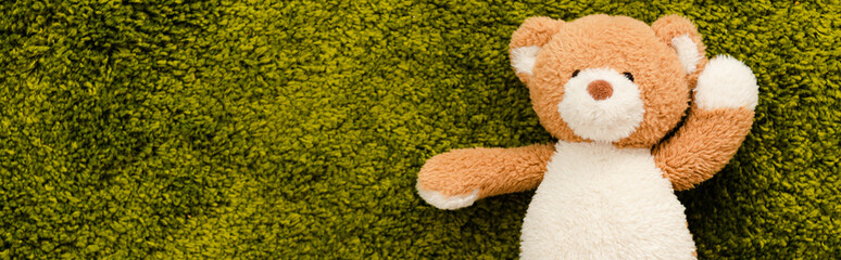 Panoramic shot of plush teddy bear on green soft carpet