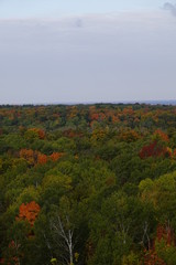 Beautiful Fall color forest changing colors during Autumn Season