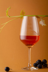 Glass of wine and grape twig