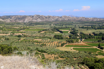 Vue sur les Alpilles 