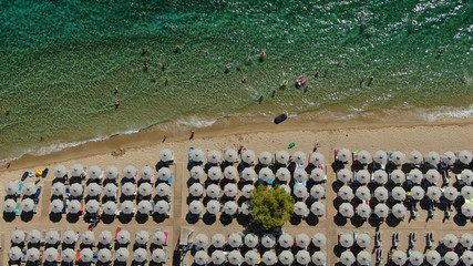 Aerial drone photo of beautiful covered in pine trees paradise sandy organised beach of Lagomandra...