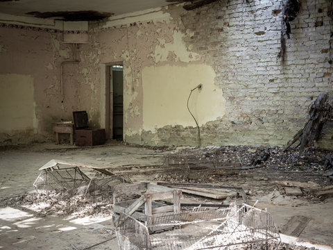 Abandoned looted grocery store in Zalissya village in Chernobyl Exclusion Zone, Ukraine