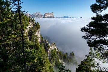 cloud sea