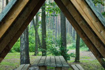 wooden bridge in the forest