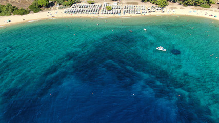 Aerial drone photo of beautiful covered in pine trees paradise sandy organised beach of Lagomandra with turquoise clear sea in Sithonia peninsula, Halkidiki, North Greece