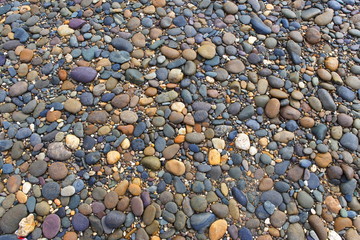 stone on the beach