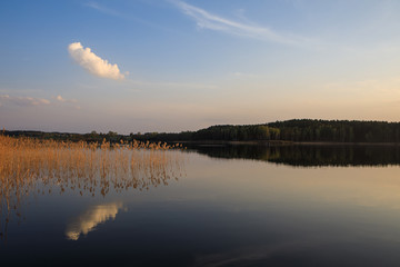 Virintai lake in the evening