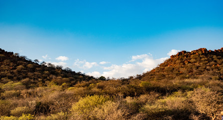 Parc du Waterberg en Namibie, Afrique