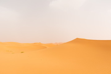 Fototapeta na wymiar Merzouga - Sahara desert