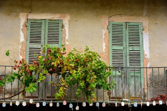 Fa&ccedil;ade et treille vigne