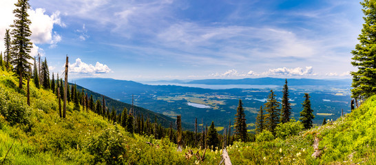panoramic View from Mountainside