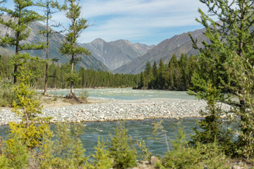 река Аргут и Коксу, горный Алтай,  reka Argut i Koksu, gornyy Altay 32/5000 Argut and Koksu River, Altai Mountains