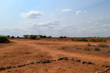 Fototapeta premium Desert landscape of the Kenyan Savannah