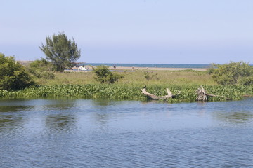 Playa Chachalacas, Veracruz