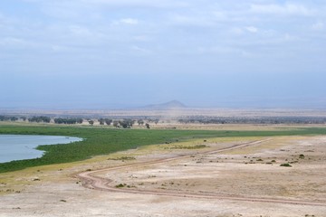 Desert landscape of the Kenyan Savannah