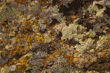 The surface of rock illuminated by the sun on the side