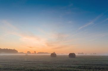 Piękny Letni Mglisty Świt Na Łąkach Warmii  © Wojciech Lisiński
