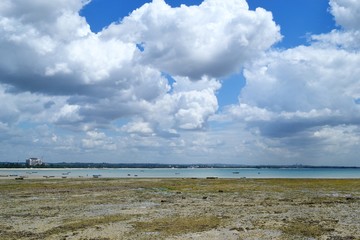 Low tide in the ocean